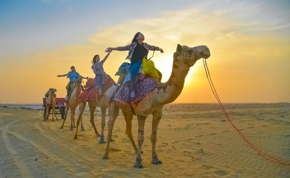 Family Sunset Camel Safari